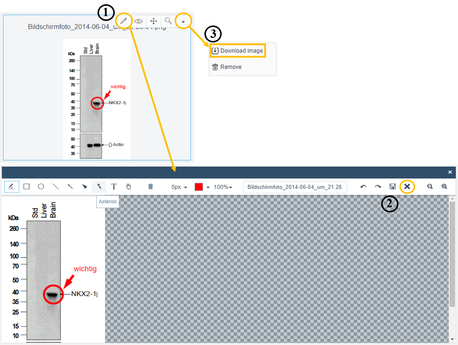 how-to-clear-the-image-of-annotations-labfolder