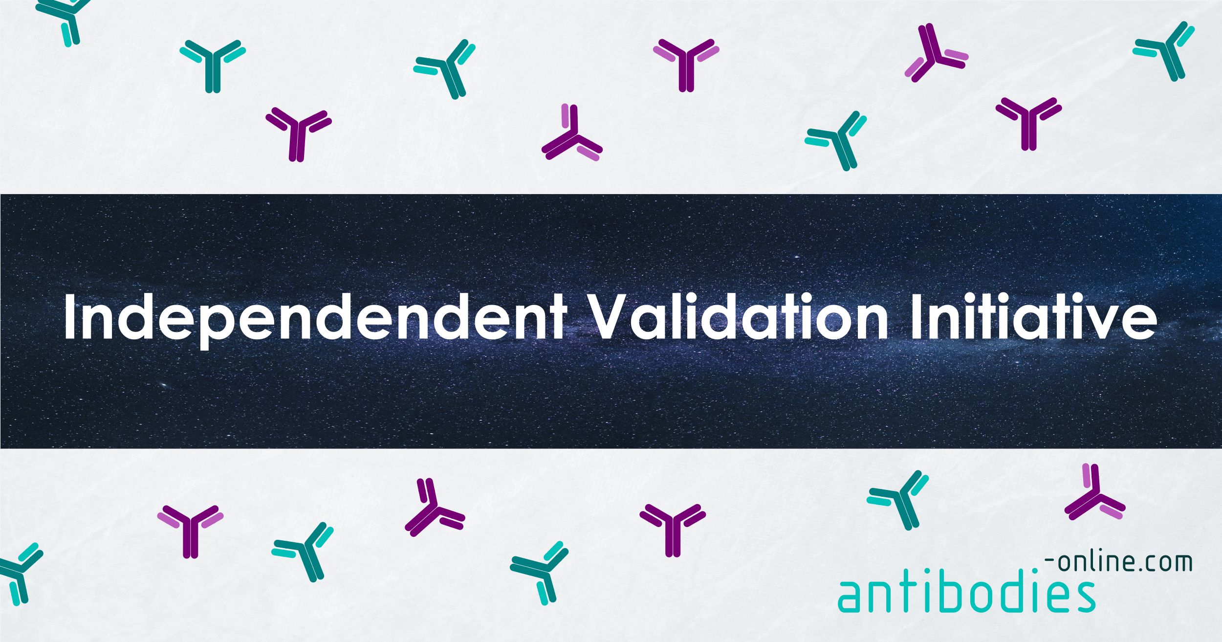 independent-validation-initiative